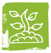 seedling_100px